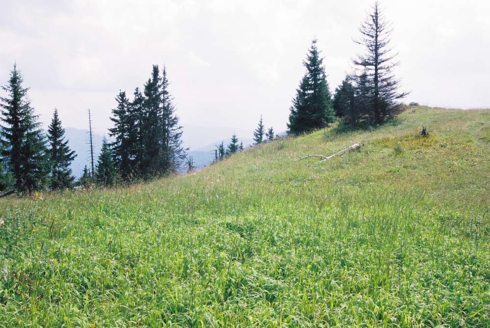 Południca peak