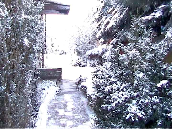 Winter 2005